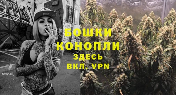 гидра Костерёво