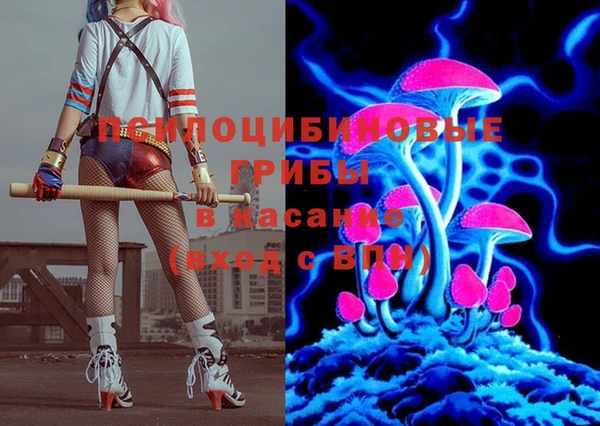сатива Краснослободск