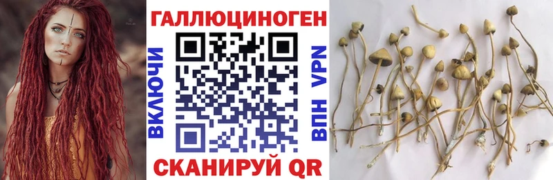 Галлюциногенные грибы Cubensis  MEGA маркетплейс  Медвежьегорск 
